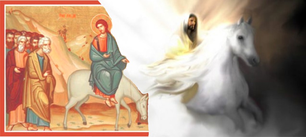 Equestrian donket to white horse